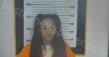 STONER, TERESA MARIE | 2026-02-16 17:45:00 Ottawa County, Ohio Booking