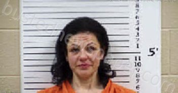 REINHOLTZ, CAMBRIA HOPE | 2026-02-16 04:47:00 Cherokee County, North Carolina Booking