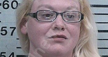 SHIPMAN, KIMBERLY NICHOLE | 2026-02-17 10:25:37 Hood County, Texas Booking