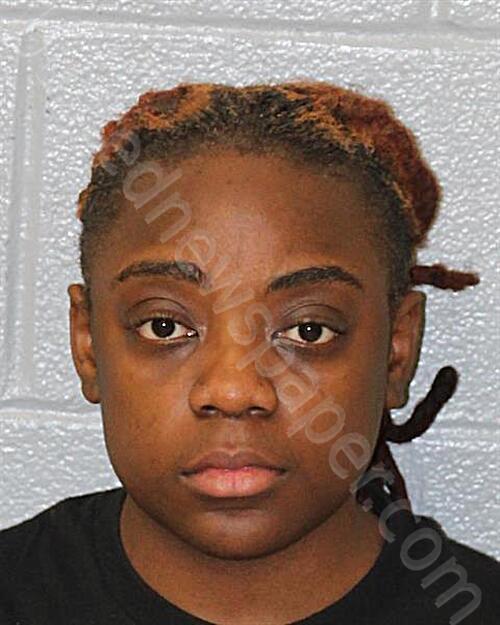 VASQUEZ, AMINA THERINA-MARTHA #, Mecklenburg County, North Carolina - 2026-02-17 11:55:00