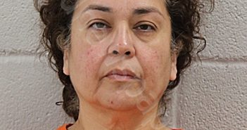 LEYVA, MARIA CARMEN | 2026-02-17 Ochiltree County, Texas Booking