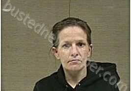 AMMONS, CHRISTINA | 2026-02-17 Harnett County, North Carolina Booking