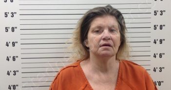 JUDE-ZELINKA, TERESA | 2026-02-17 12:12:00 Pickens County, Georgia Booking