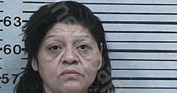 JARAMILLO, SIRENA GARZA | 2026-02-17 15:47:08 Hood County, Texas Booking