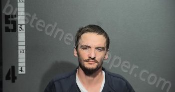 SCHLEEPER, AUSTYN | 2026-02-18 13:36:00 Western Tidewater, Virginia Booking