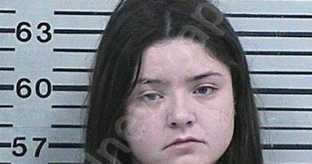 WHITLEY, SAVANA MICHELLE | 2026-02-18 06:22:07 Hood County, Texas Booking