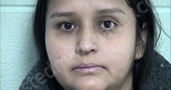 CASTILLO NUNEZ, MARIA DE JESUS | 2026-02-18 Chase County, Kansas Booking