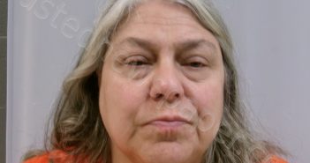 WILSON, GLORIA WILMA | 2026-02-18 13:35:00 Taylor County, West Virginia Booking