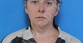 WEBER, VANESSA JEAN | 2026-02-19 22:03:00 Sullivan County, Tennessee Booking