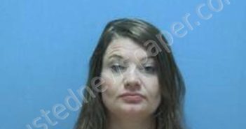 HEATHER NICOLE BUPP | 2026-02-19 12:50:00 Mississippi County, Arkansas Booking
