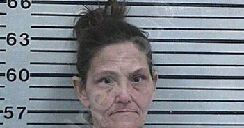 MCGLOTHLIN, TOMMIE LYN | 2026-02-19 16:15:47 Hood County, Texas Booking