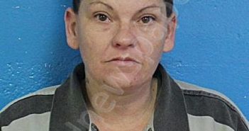 JOHNSON, SAVANNAH MILDRED | 2026-02-19 19:39:50 Sullivan County, Tennessee Booking