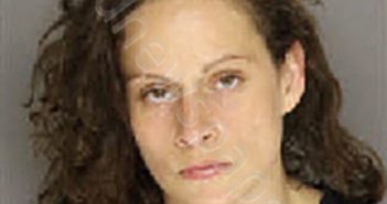 CHAVIS, SHANNON NICOLE | 2026-02-20 08:11:00 Moore County, North Carolina Booking