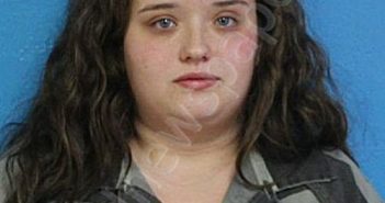 NELSON, ALYSSA ANN | 2026-02-20 03:19:00 Sullivan County, Tennessee Booking
