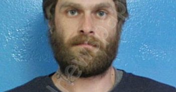 HAMILTON, ROCKY ALLEN | 2026-02-20 11:31:00 Sullivan County, Tennessee Booking