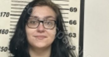 MELTON, MAKENZIE BROOKE | 2026-02-20 15:13:00 Clay County, Tennessee Booking