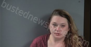 SEE, ALLISON ROSE | 2026-02-22 02:21:00 Johnson County, Iowa Booking