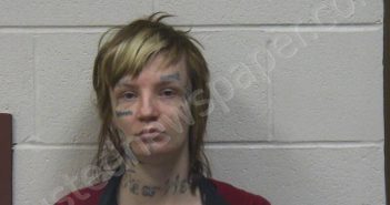 JEWELL, TINA L | 2026-02-23 11:29:00 Stewart County, Tennessee Booking