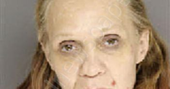 LIRA, SUSAN MARIE | 2026-02-24 02:59:00 Moore County, North Carolina Booking