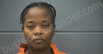 VILME, NATACHA NMI | 2026-02-24 15:45:00 Cass County, Indiana Booking