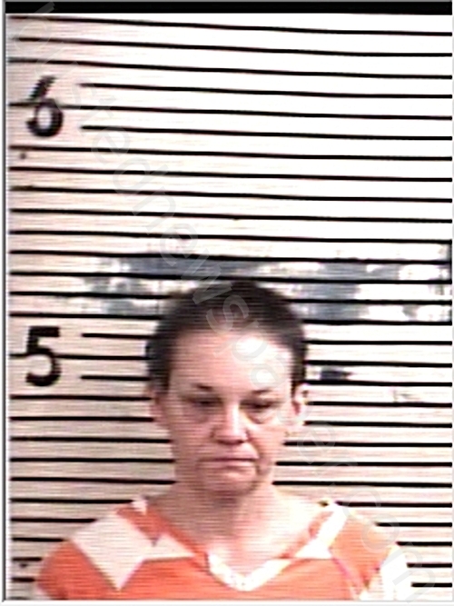 COOK, MELISSA MARIE #, Holmes County, Florida - 2026-02-25