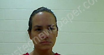 SKERIS, STEPHANIE ANN | 2026-02-27 20:51:00 Dixie County, Florida Booking