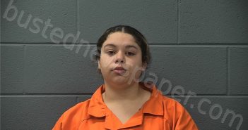 JOHNSON, MECCA RAE | 2026-02-28 20:37:00 Cass County, Indiana Booking