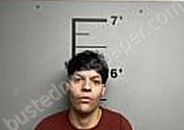 <B>SANCHEZ</B> FERNANDEZ, <B>RAUL</B> JUNIOR #, Benton County, Arkansas - 2026-03-01