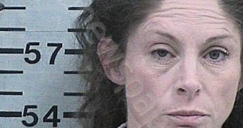 PATTERSON, KIMBERLY LYNNE | 2026-03-02 12:41:22 Hood County, Texas Booking