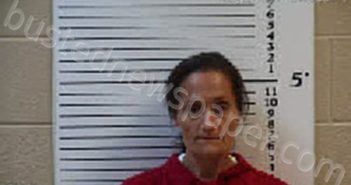 JENKINS, ERICA RAE | 2026-03-02 21:23:00 Cherokee County, North Carolina Booking