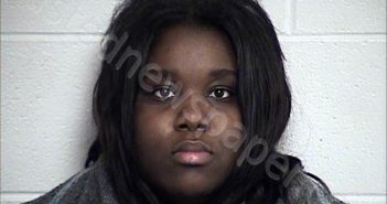 ADEFOPE, SOPEFOLUWA ADUNMINDE | 2026-03-02 Chase County, Kansas Booking