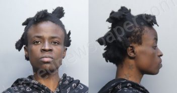 PIERRE, EVANGELINE V | 2026-03-03 15:36:00 Miami-Dade County, Florida Booking