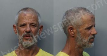 CANETE, CARLOS LUIS | 2026-03-03 10:49:00 Miami-Dade County, Florida Booking