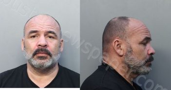 ARIZMENDI, DENNIS | 2026-03-03 13:00:00 Miami-Dade County, Florida Booking