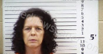 BURRELL, STEPHANIE DAWN | 2026-03-04 19:57:00 Cherokee County, North Carolina Booking