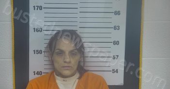 DOWNEY, TINA MARIE | 2026-03-04 03:25:00 Ottawa County, Ohio Booking