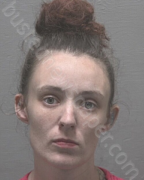 PAYNE, KRISTIN CIARA #, New Hanover County, North Carolina - 2026-03-05 18:40:00