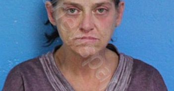 CRAWFORD, BRIDGET ALISON | 2026-03-06 13:58:48 Sullivan County, Tennessee Booking