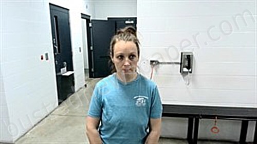 LUEDEMAN, LACEY P #, Fulton County, Arkansas - 2026-03-06 19:51:00