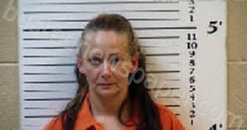 GODSEY, SONJA LEIA | 2026-03-06 11:44:00 Cherokee County, North Carolina Booking