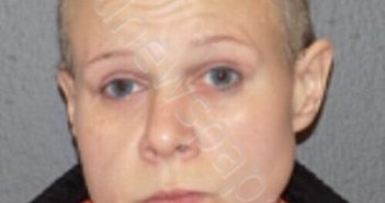 VERMILYEA, STEPHANIE | 2026-03-08 03:18:00 Delaware County, New York Booking