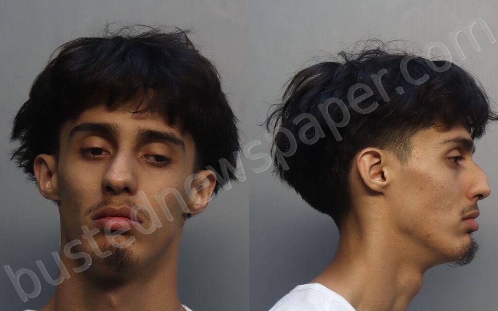 NIETO, DAVID LUIS #, Miami-Dade County, Florida - 2026-03-08 09:22:00