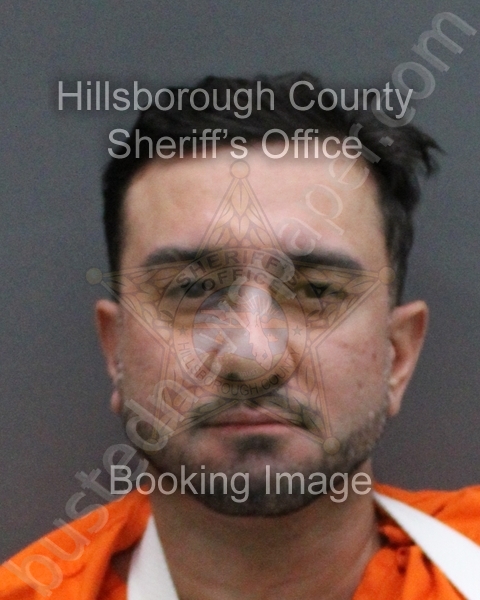 MORA RAMIREZ, GABRIEL IVAN #, Hillsborough County, Florida - 2026-03-08 00:51:00