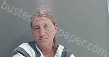 HIGGINS, MISTY MARIE | 2026-03-09 15:10:00 Cameron Parish, Louisiana Booking