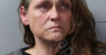 VANMATRE, MARGARET MAY | 2026-03-09 21:39:00 Wayne County, Illinois Booking