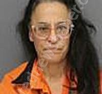 WILLIS, DINA MARIE | 2026-03-09 Medina County, Ohio Booking