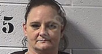 TWILLEY, AMANDA NICOLE | 2026-03-09 03:24:00 Sharp County, Arkansas Booking