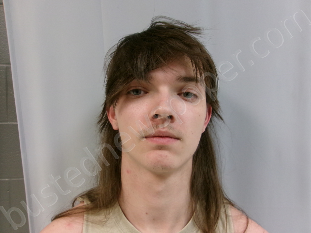 SWISHER, AUSTON NATHANIAL #, Taylor County, West Virginia - 2026-03-09 05:10:00