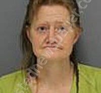 FLEMING-MCDONALD, ELIZABETH ANN | 2026-03-10 Medina County, Ohio Booking