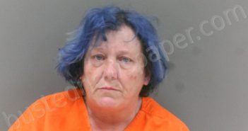 STEELE, PATRICIA ANN | 2026-03-10 16:00:00 Mcdowell County, West Virginia Booking